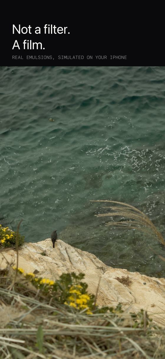 A developed photograph of a bird on a rock above turquoise water.