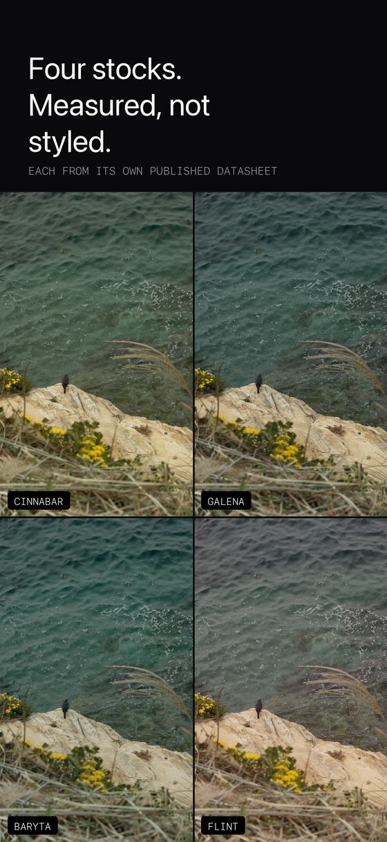One scene developed through all four film stocks.